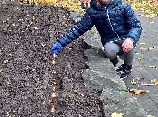 Gr. III Pola Nadziei