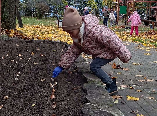 Gr. III Pola Nadziei