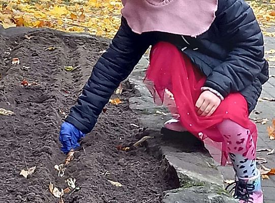 Gr. III Pola Nadziei