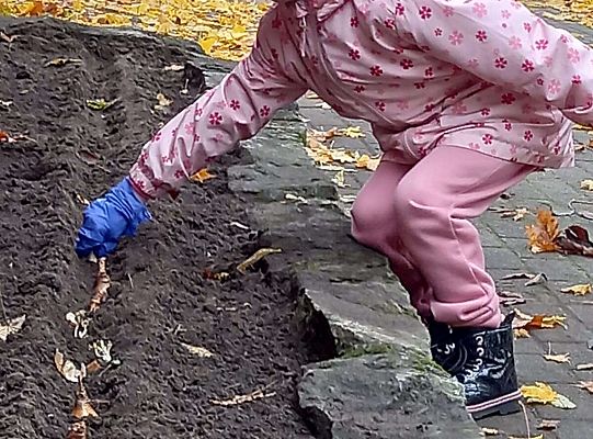 Gr. III Pola Nadziei