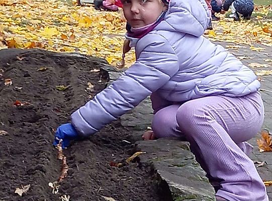 Gr. III Pola Nadziei