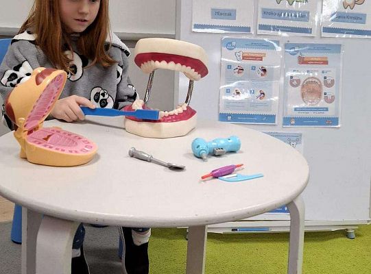 Gr. IV "KLUB MLECZAKA" - Projekt