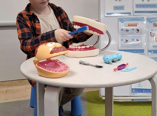 Gr. IV "KLUB MLECZAKA" - Projekt