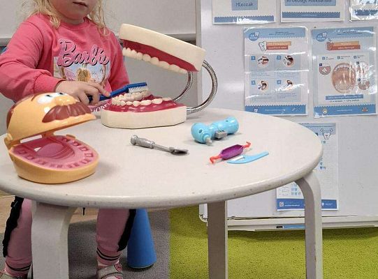 Gr. IV "KLUB MLECZAKA" - Projekt