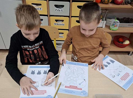 Gr. IV "KLUB MLECZAKA" - Projekt