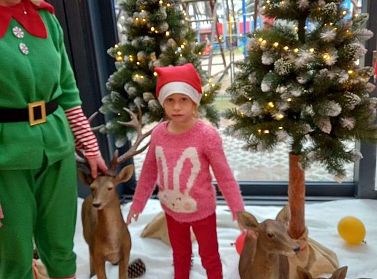 Gr. III Wycieczka do Wioski Św. Mikołaja w Rowach