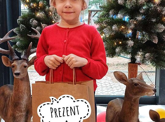 Gr. IV Wycieczka do Wioski Św.Mikołaja w Rowach