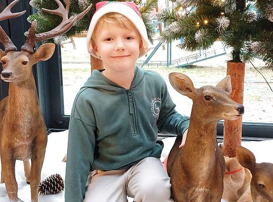 Gr. IV Wycieczka do Wioski Św.Mikołaja w Rowach