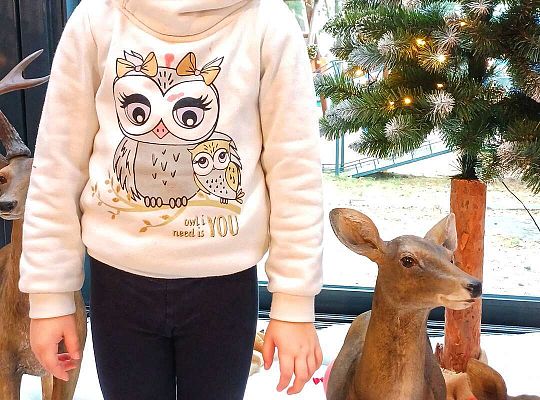 Gr. IV Wycieczka do Wioski Św.Mikołaja w Rowach