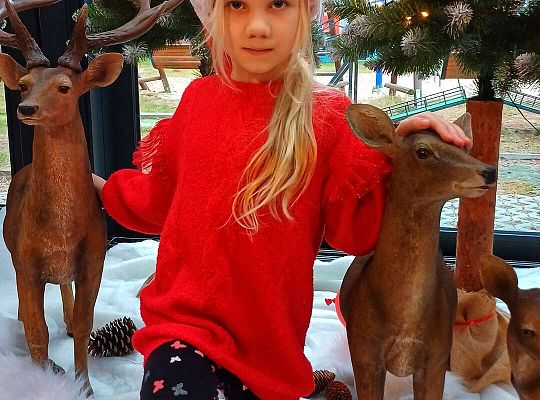 Gr. IV Wycieczka do Wioski Św.Mikołaja w Rowach