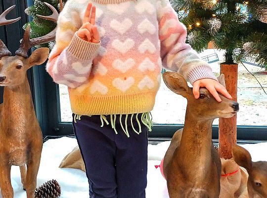 Gr. IV Wycieczka do Wioski Św.Mikołaja w Rowach