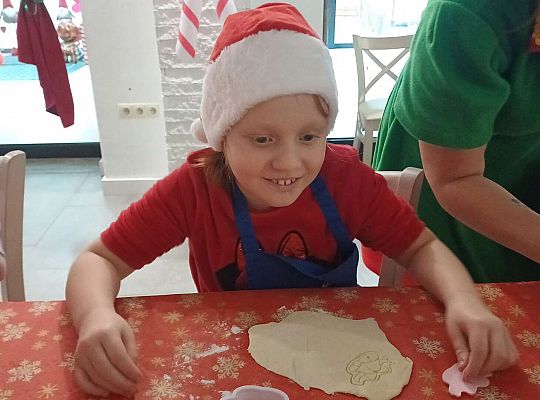 Gr. IV Wycieczka do Wioski Św.Mikołaja w Rowach