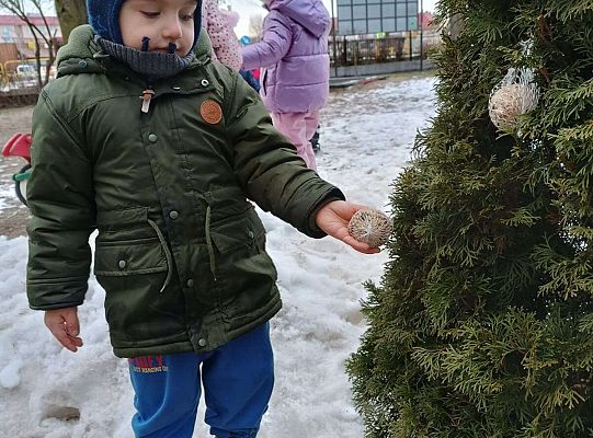 Gr.I Pamiętamy o ptakach zimą