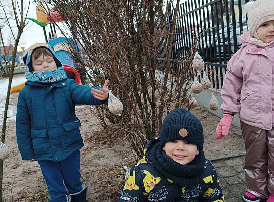 Gr.I Pamiętamy o ptakach zimą