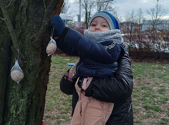 Gr.I Pamiętamy o ptakach zimą