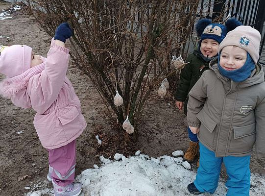 Gr.I Pamiętamy o ptakach zimą