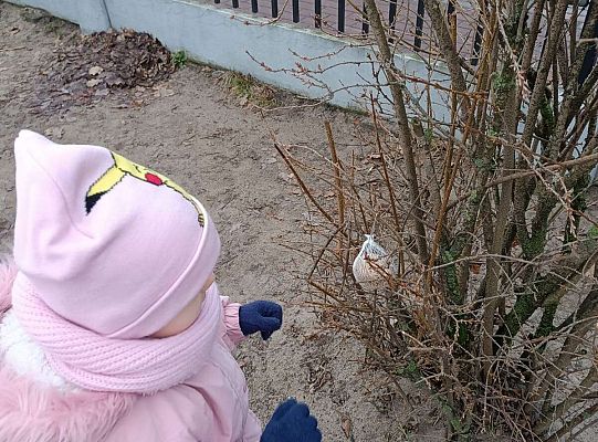 Gr.I Pamiętamy o ptakach zimą