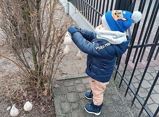 Gr.I Pamiętamy o ptakach zimą