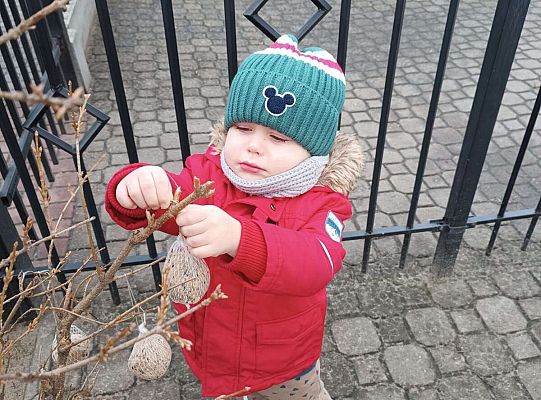 Gr.I Pamiętamy o ptakach zimą