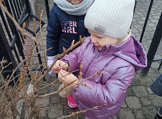Gr.I Pamiętamy o ptakach zimą