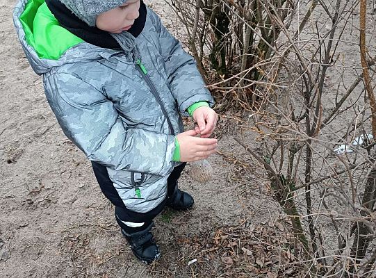 Gr.I Pamiętamy o ptakach zimą