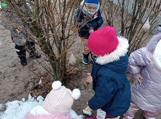 Gr.I Pamiętamy o ptakach zimą