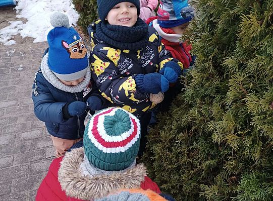 Gr.I Pamiętamy o ptakach zimą