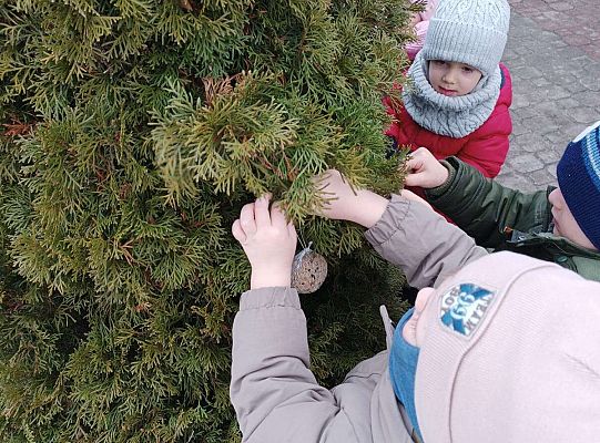 Gr.I Pamiętamy o ptakach zimą