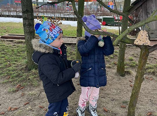 Gr. III Dokarmiamy ptaki