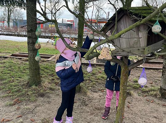 Gr. III Dokarmiamy ptaki