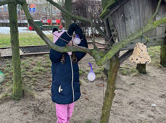 Gr. III Dokarmiamy ptaki