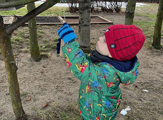 Gr. III Dokarmiamy ptaki