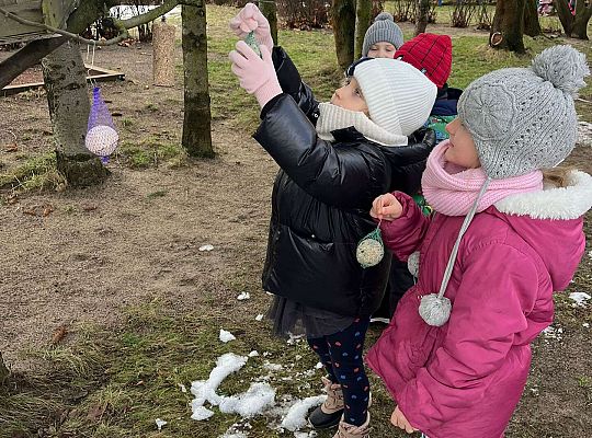 Gr. III Dokarmiamy ptaki