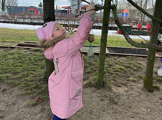 Gr. III Dokarmiamy ptaki