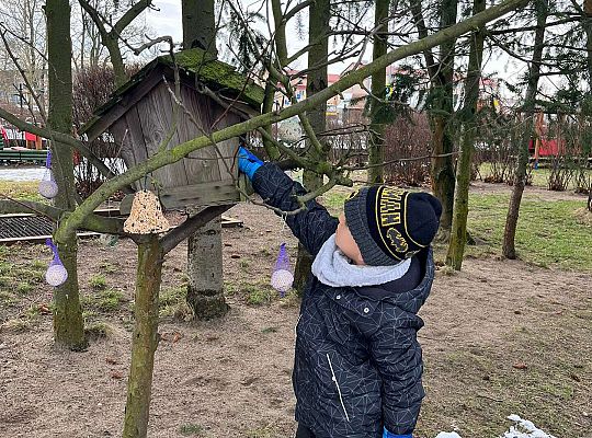 Gr. III Dokarmiamy ptaki