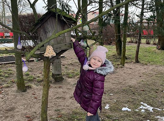 Gr. III Dokarmiamy ptaki