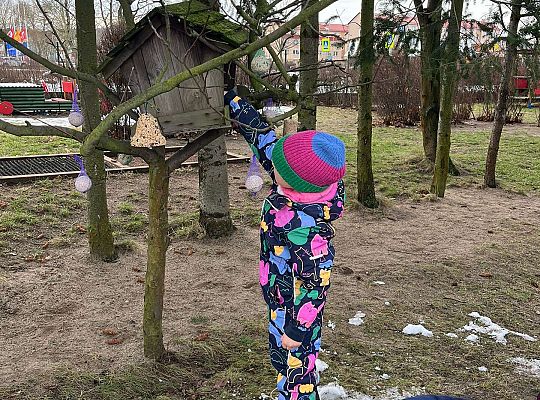 Gr. III Dokarmiamy ptaki