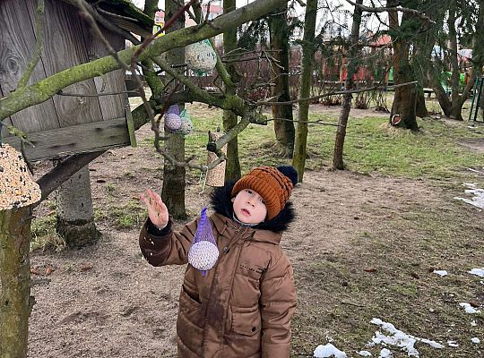 Gr. III Dokarmiamy ptaki