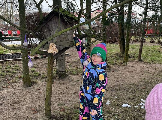 Gr. III Dokarmiamy ptaki