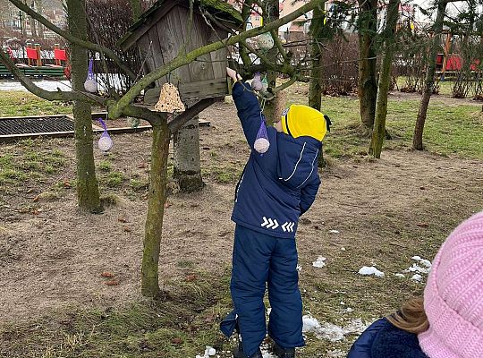 Gr. III Dokarmiamy ptaki