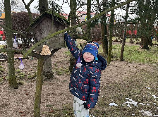 Gr. III Dokarmiamy ptaki