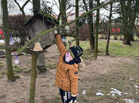 Gr. III Dokarmiamy ptaki