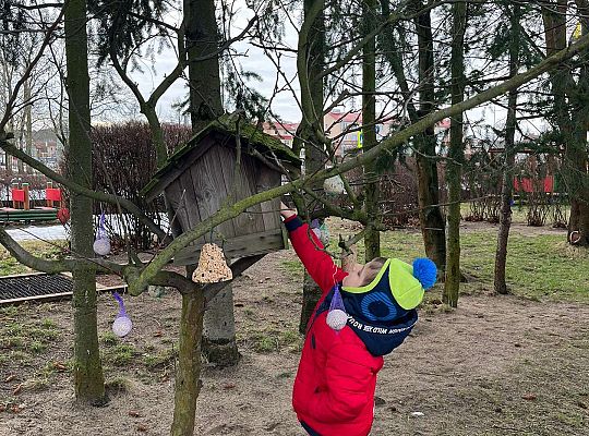 Gr. III Dokarmiamy ptaki