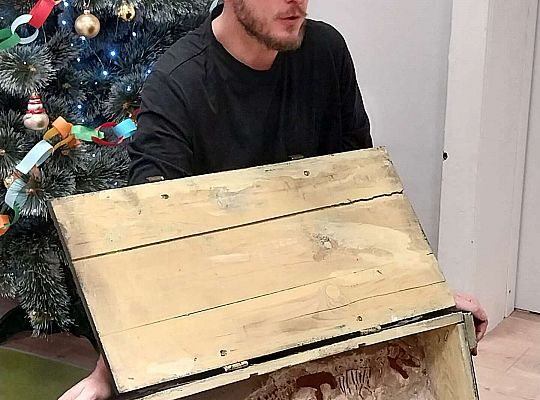 Gr.I I Gr.II Dinozaury w przedszkolu