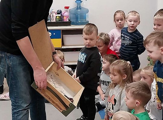 Gr.I I Gr.II Dinozaury w przedszkolu