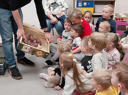 Gr.I I Gr.II Dinozaury w przedszkolu