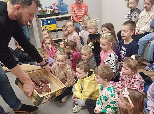 Gr. III i IV Dinozaury w przedszkolu