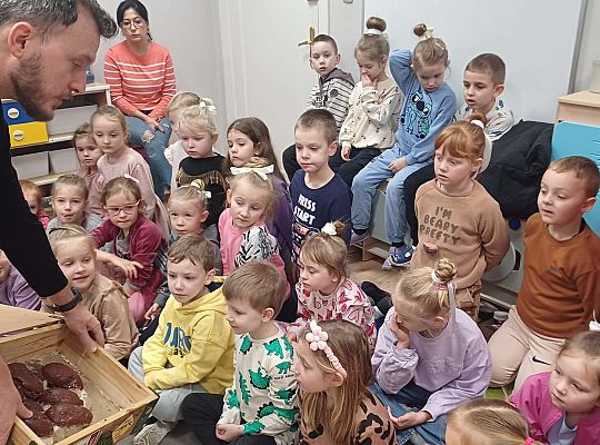 Gr. III i IV Dinozaury w przedszkolu