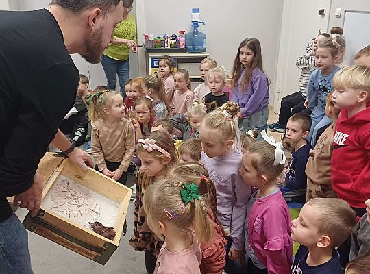 Gr. III i IV Dinozaury w przedszkolu