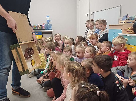 Gr. III i IV Dinozaury w przedszkolu